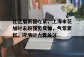 开云电竞官网入口- 社区盾赛程吃紧，上海申花加时末段强势反弹，气氛紧张，控场能力受关注