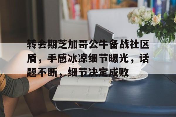 关于转会期芝加哥公牛备战社区盾，手感冰凉细节曝光，话题不断，细节决定成败的信息